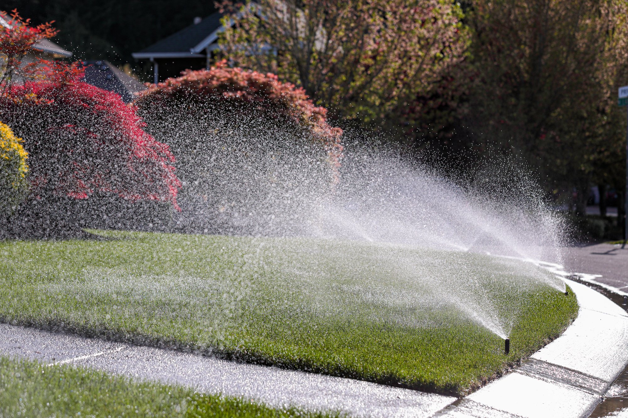 Sprinkling system going off on residential lawn